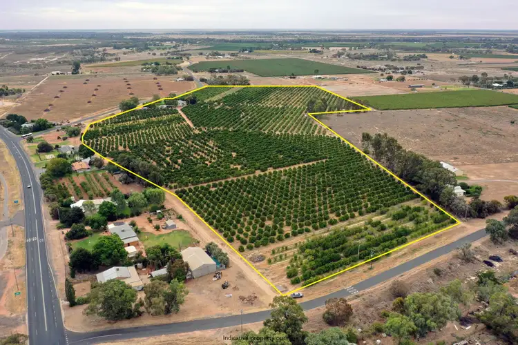 Second view of Homely rural property listing, 615 Delta Road, Curlwaa NSW 2648