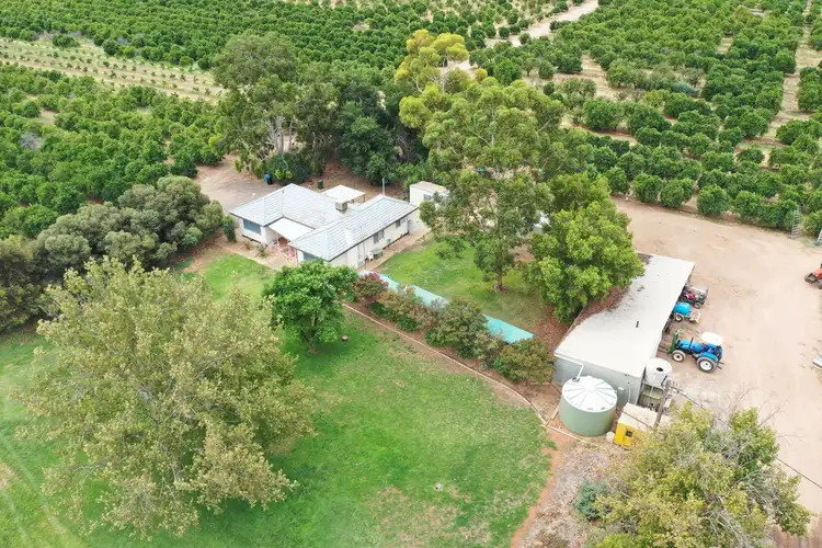 Seventh view of Homely rural property listing, 615 Delta Road, Curlwaa NSW 2648