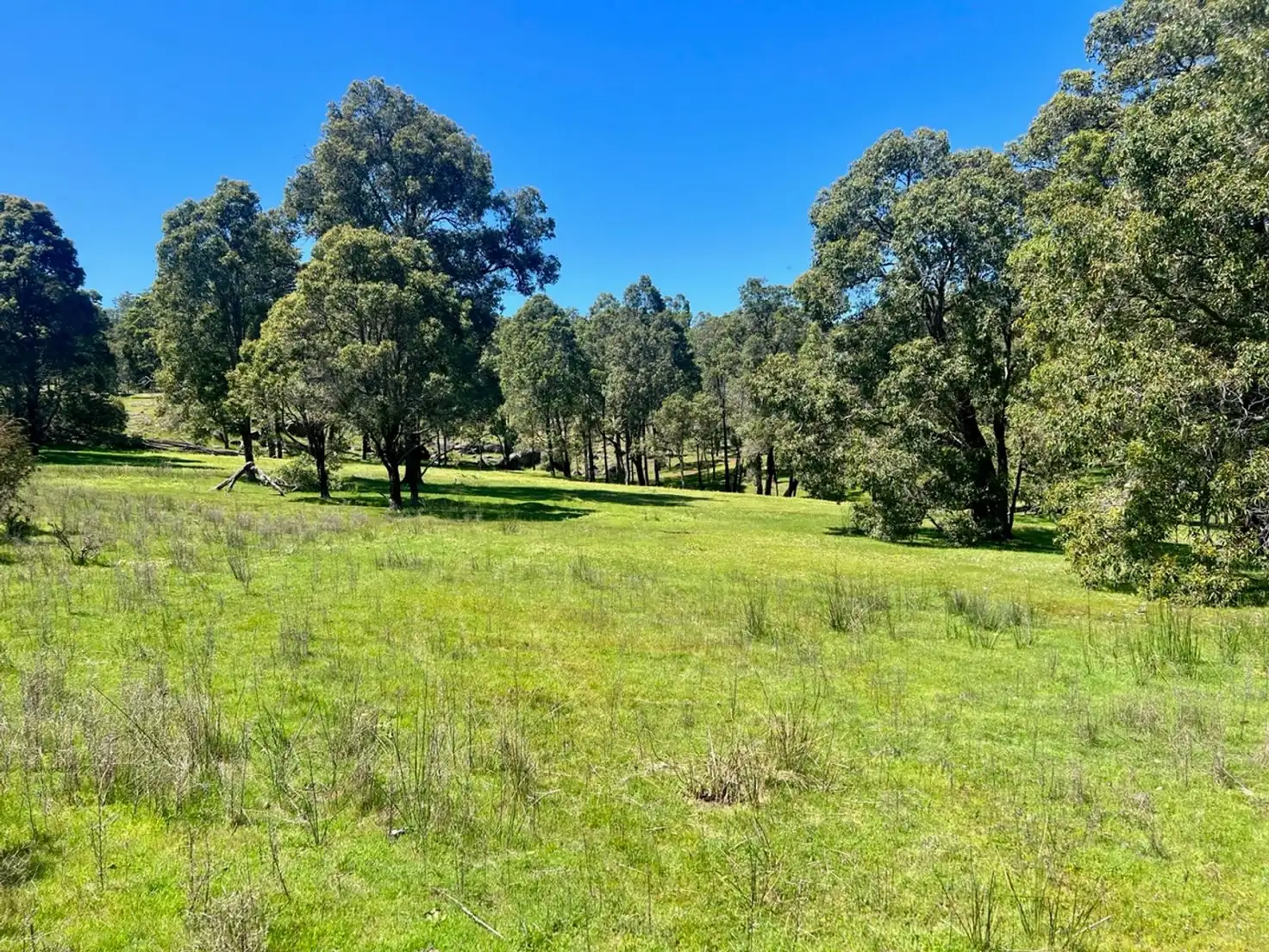 Main view of Homely land listing, 59 Lyons Road, Waroona WA 6215