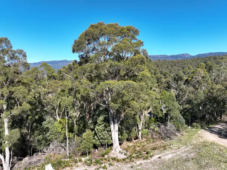 Fourth view of Homely land listing, 550 Liena Road, Mole Creek TAS 7304