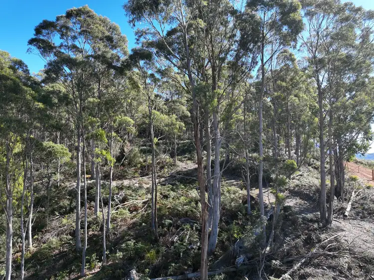 Fifth view of Homely land listing, 550 Liena Road, Mole Creek TAS 7304