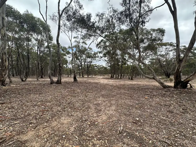 Fourth view of Homely land listing, 45 Sanderson Court, Bealiba VIC 3475