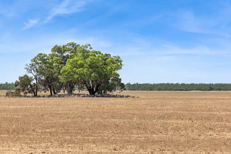 Second view of Homely rural property listing, Lot 66 Cobb Highway, Mathoura NSW 2710