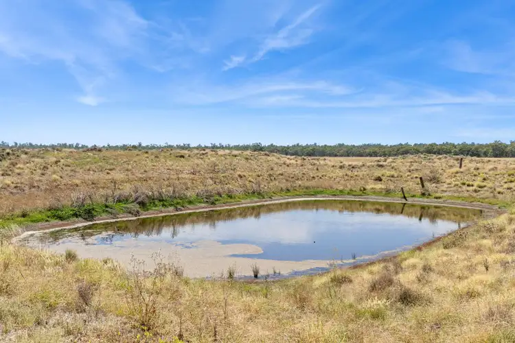Seventh view of Homely rural property listing, Lot 66 Cobb Highway, Mathoura NSW 2710