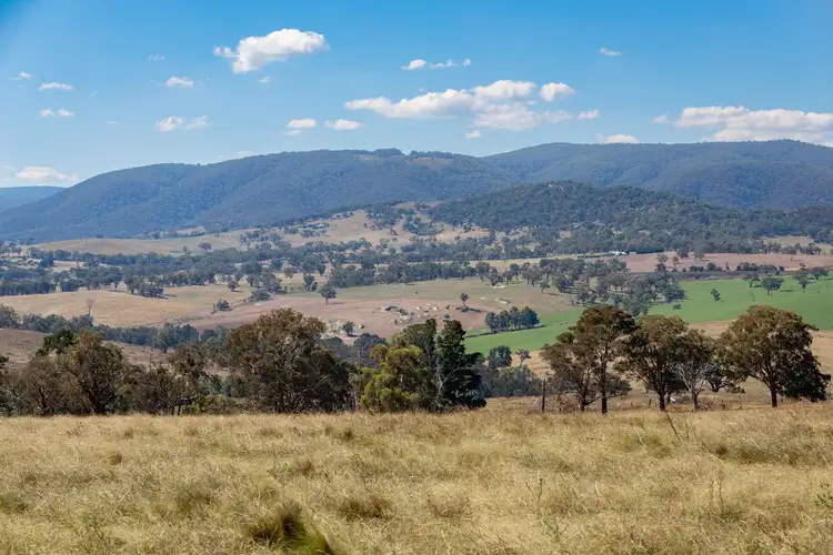 Main view of Homely rural property listing, 1387 Mutton Falls Road, O'connell NSW 2795