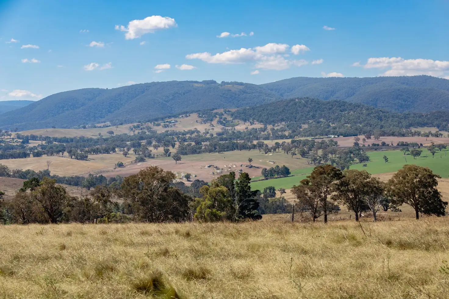 Main view of Homely rural property listing, 1387 Mutton Falls Road, O'connell NSW 2795