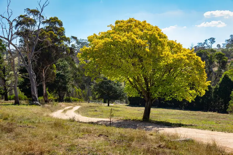 Third view of Homely rural property listing, 1387 Mutton Falls Road, O'connell NSW 2795