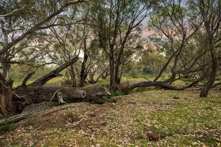 Fifth view of Homely land listing, Lot 2 Hawkins Lane, Longlea VIC 3551