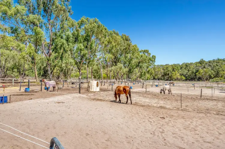 Seventh view of Homely house listing, 29 Bouvard Drive, Bouvard WA 6211