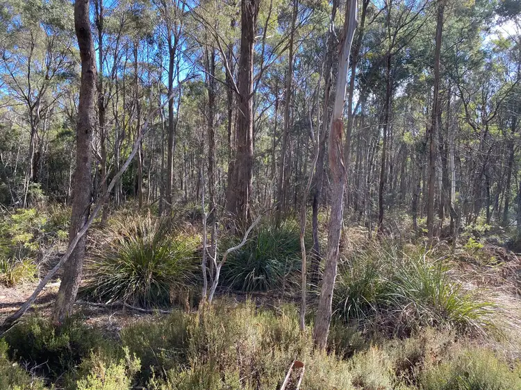 Main view of Homely land listing, Lot 1 River Road, Reedy Marsh TAS 7304
