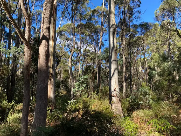 Third view of Homely land listing, Lot 1 River Road, Reedy Marsh TAS 7304