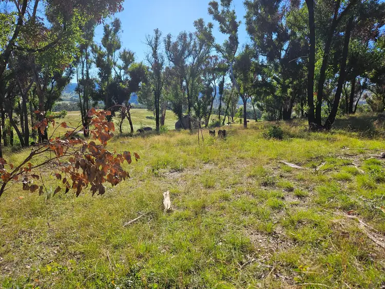 Sixth view of Homely rural property listing, Lot 3
7553 New England Highway, Tenterfield NSW 2372