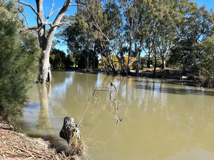 Main view of Homely land listing, 39 Vinecombe Lane, Barham NSW 2732