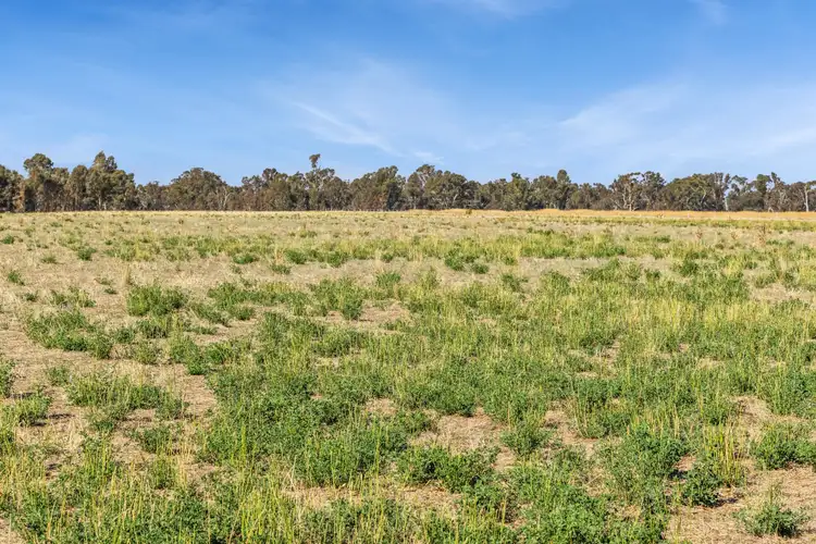 Fourth view of Homely house listing, 847 Newbridge-Bridgewater Road, Newbridge VIC 3551