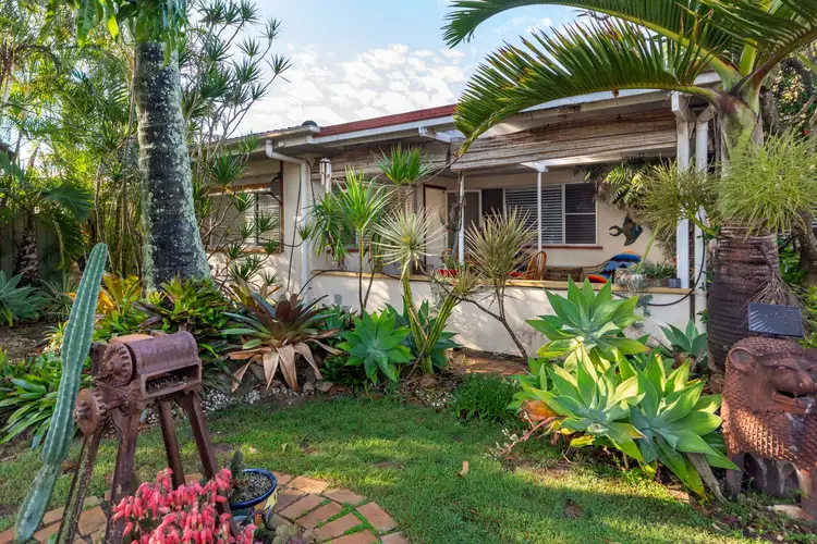 Main view of Homely house listing, 50 Kangaroo Avenue, Bongaree QLD 4507