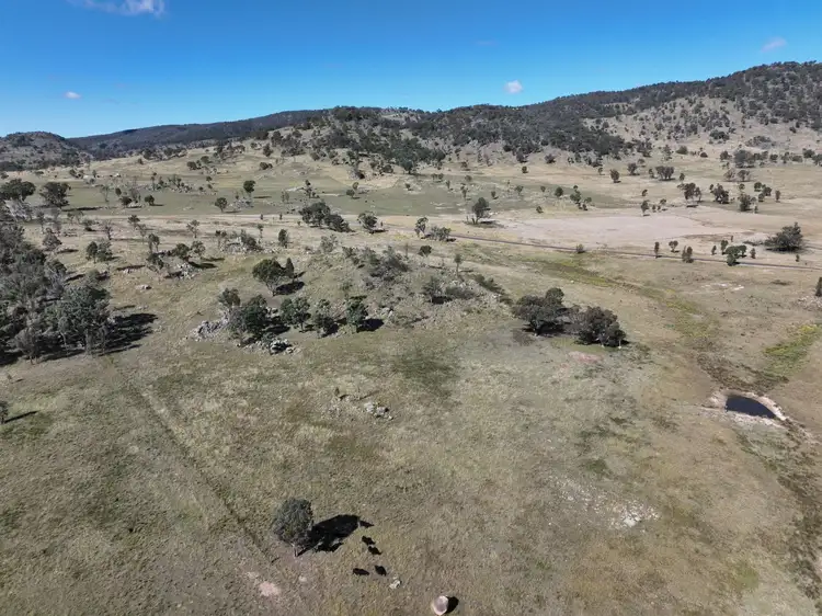 Third view of Homely rural property listing, 436 Woodside Road, Tenterfield NSW 2372