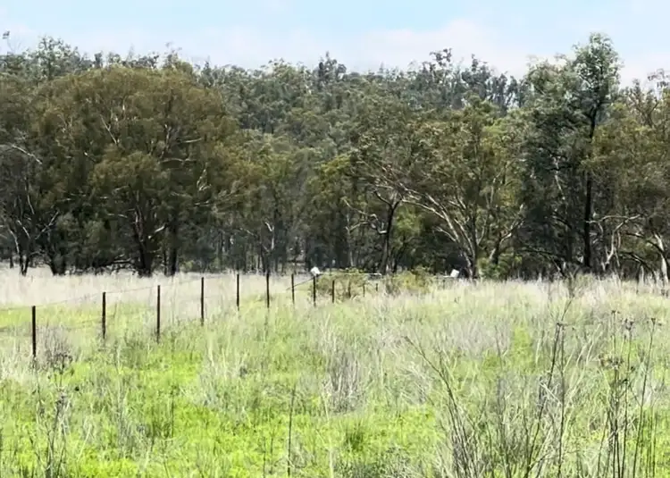 Main view of Homely rural property listing, Lot 24 Twin Creek Road, Coolatai NSW 2402