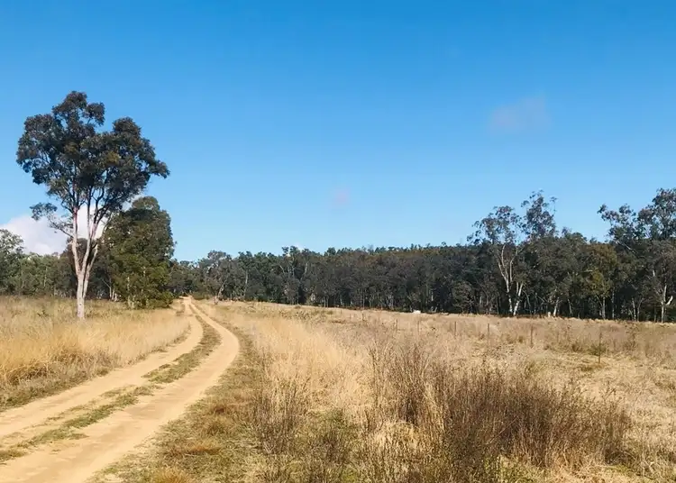 Second view of Homely rural property listing, Lot 24 Twin Creek Road, Coolatai NSW 2402