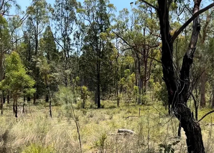 Third view of Homely rural property listing, Lot 24 Twin Creek Road, Coolatai NSW 2402