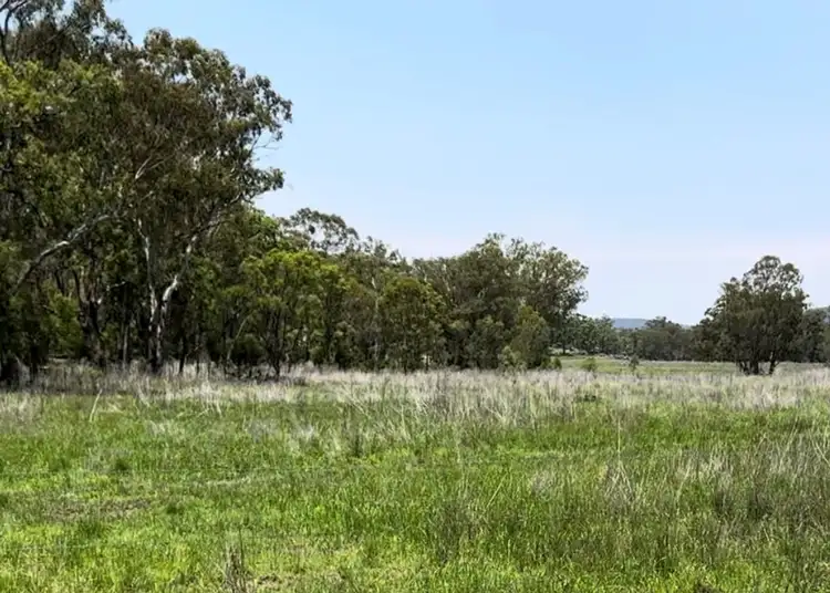 Fourth view of Homely rural property listing, Lot 24 Twin Creek Road, Coolatai NSW 2402