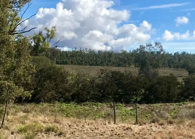 Fifth view of Homely rural property listing, Lot 24 Twin Creek Road, Coolatai NSW 2402