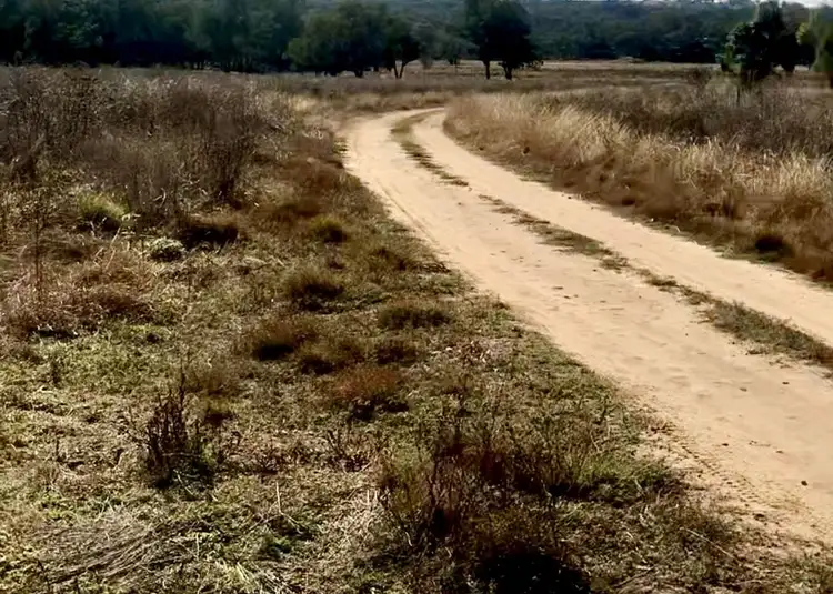 Sixth view of Homely rural property listing, Lot 24 Twin Creek Road, Coolatai NSW 2402