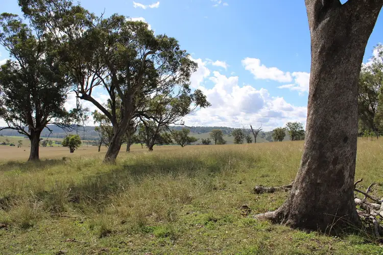 2313 Jerrys Plains Road, Jerrys Plains NSW 2330