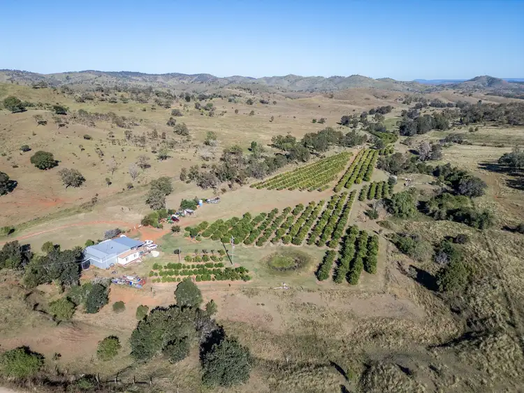 Second view of Homely rural property listing, 495 Wilson Valley Road, Wilson Valley QLD 4625