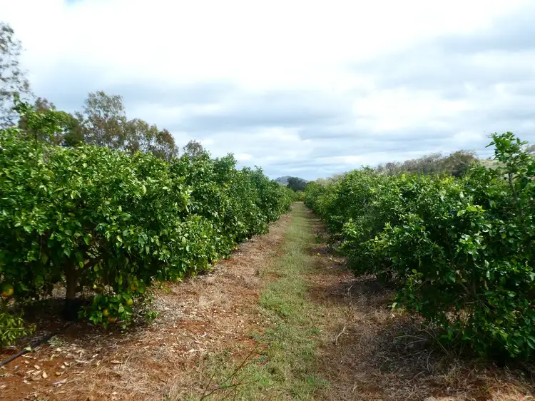 Third view of Homely rural property listing, 495 Wilson Valley Road, Wilson Valley QLD 4625