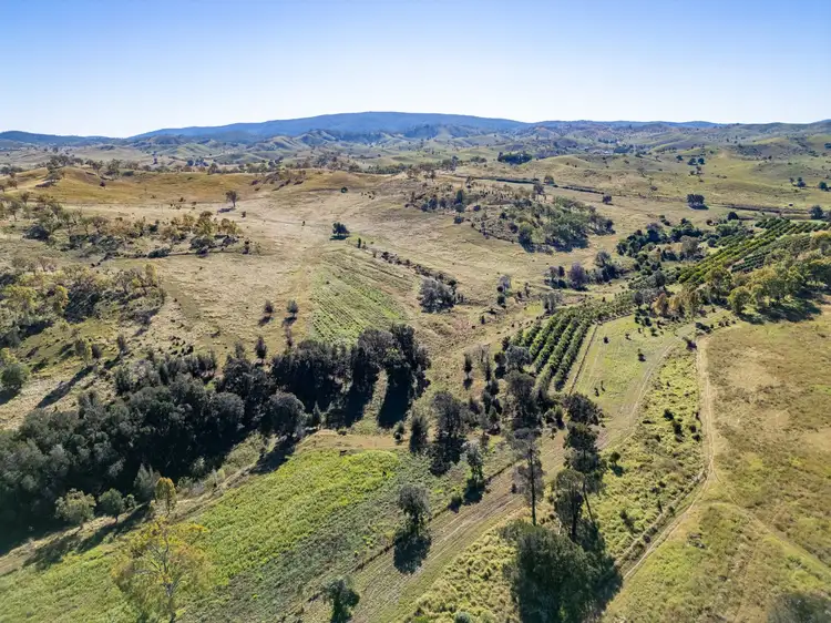 Sixth view of Homely rural property listing, 495 Wilson Valley Road, Wilson Valley QLD 4625