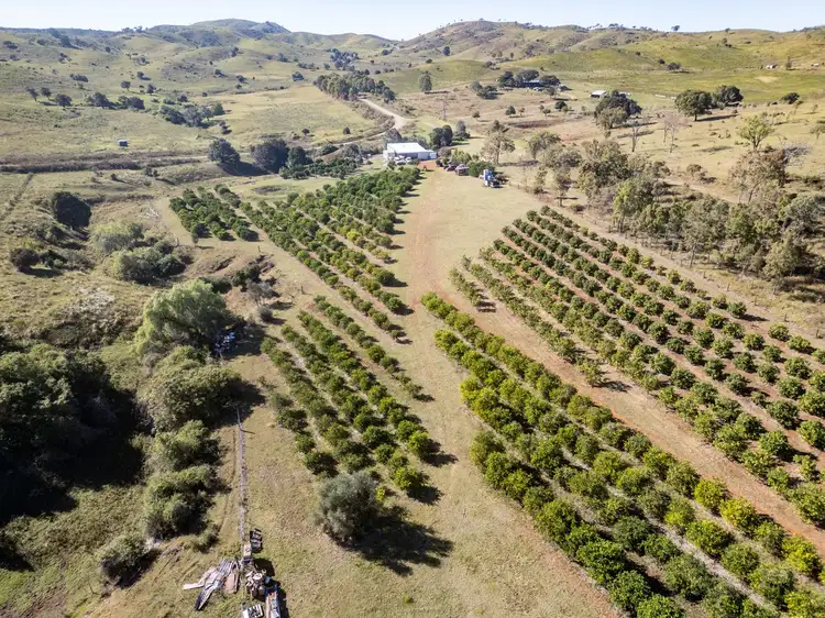 Seventh view of Homely rural property listing, 495 Wilson Valley Road, Wilson Valley QLD 4625