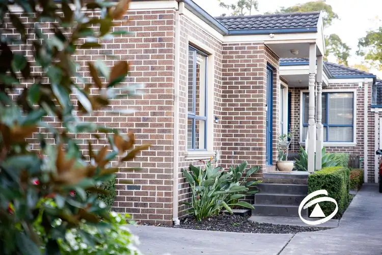 49 Palmerston Street