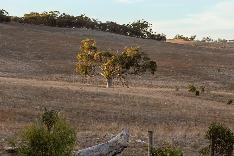 Fifth view of Homely land listing, 414A Range Road, Rockleigh SA 5254