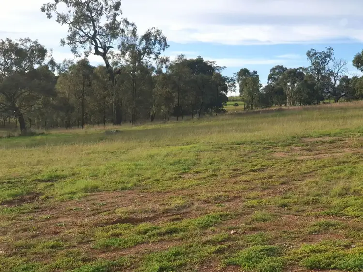 Sixth view of Homely land listing, 4 Stable Close, Muswellbrook NSW 2333