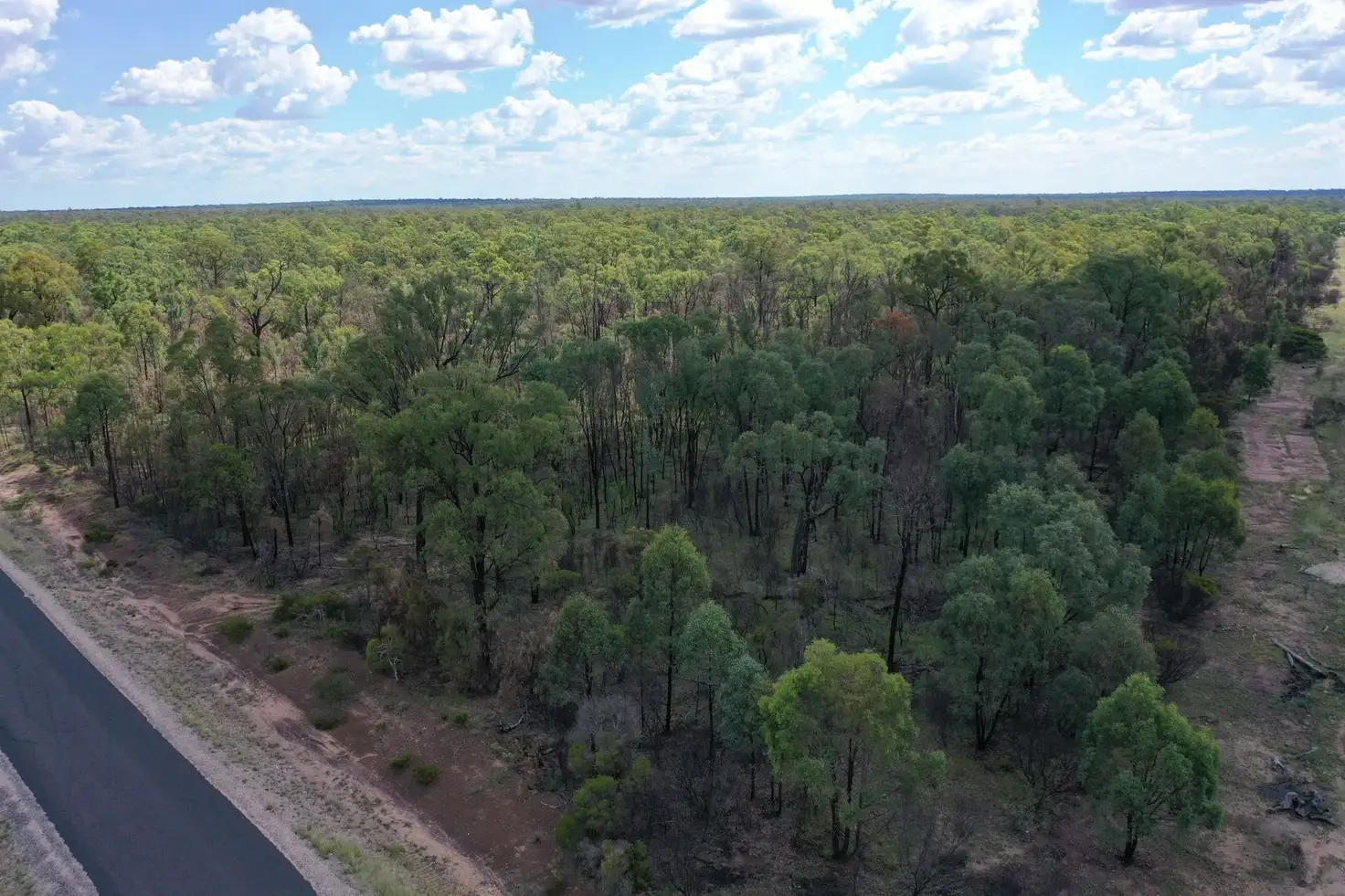Main view of Homely rural property listing, Lot 245 Bennetts School Road, Tara QLD 4421