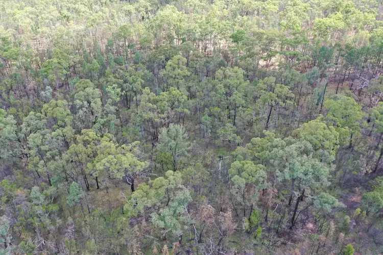 Fourth view of Homely rural property listing, Lot 245 Bennetts School Road, Tara QLD 4421