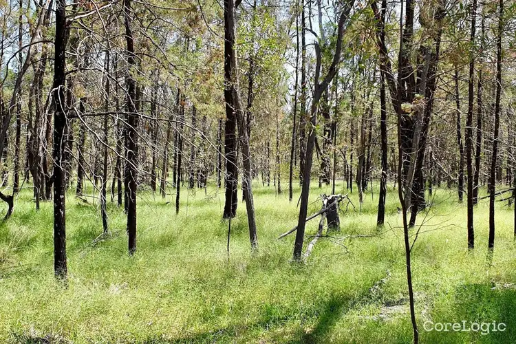 Fifth view of Homely rural property listing, Lot 311 Fortune Drive, Tara QLD 4421