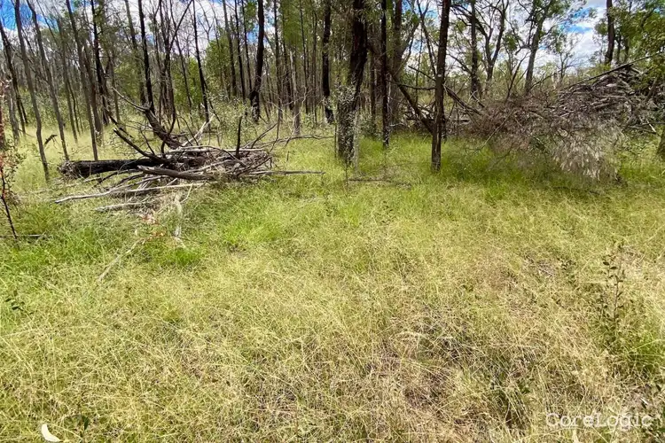 Sixth view of Homely rural property listing, Lot 311 Fortune Drive, Tara QLD 4421