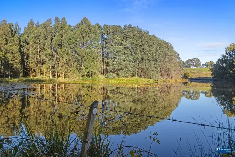 Second view of Homely rural property listing, 70 Pincinis Lane, Mirboo North VIC 3871