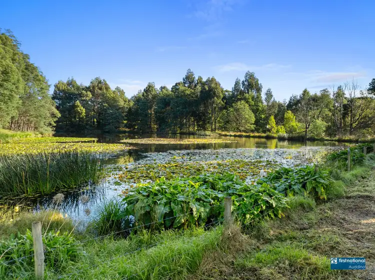 Third view of Homely rural property listing, 70 Pincinis Lane, Mirboo North VIC 3871
