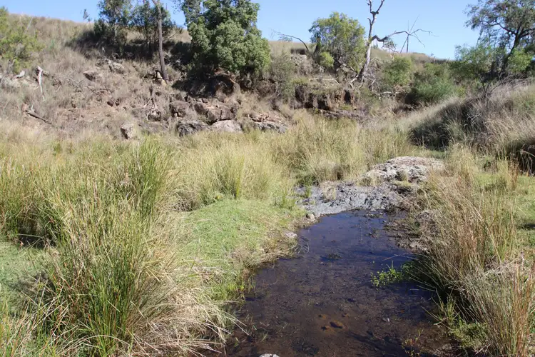 Main view of Homely rural property listing, Lot 1
1872 Mole River Road, Tenterfield NSW 2372