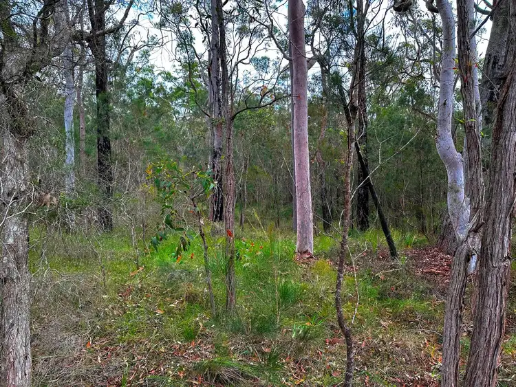 Fourth view of Homely land listing, Lot 60 Carrington Road, North Arm Cove NSW 2324