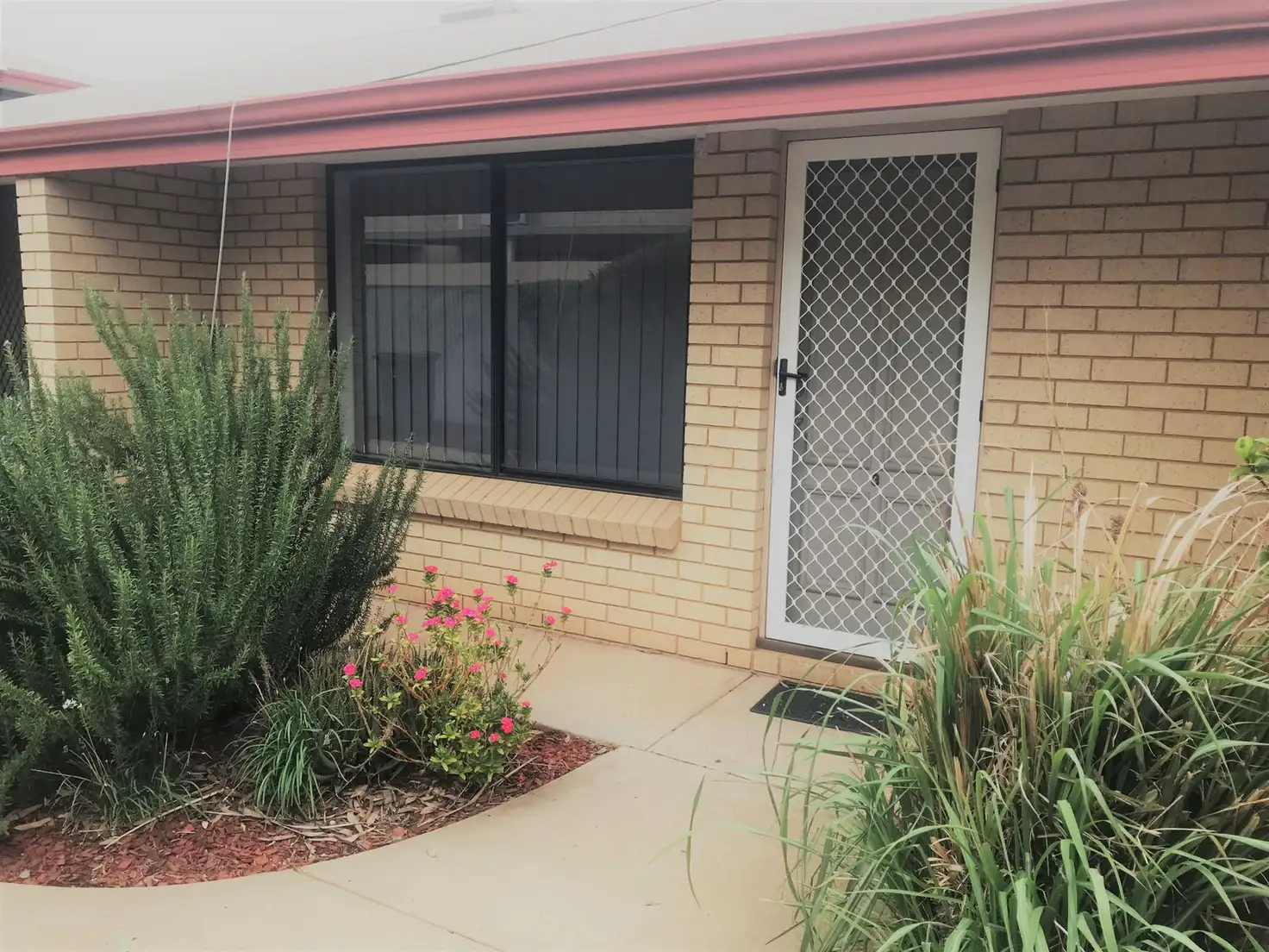 Main view of Homely house listing, 3/191 Egan Street, Kalgoorlie WA 6430