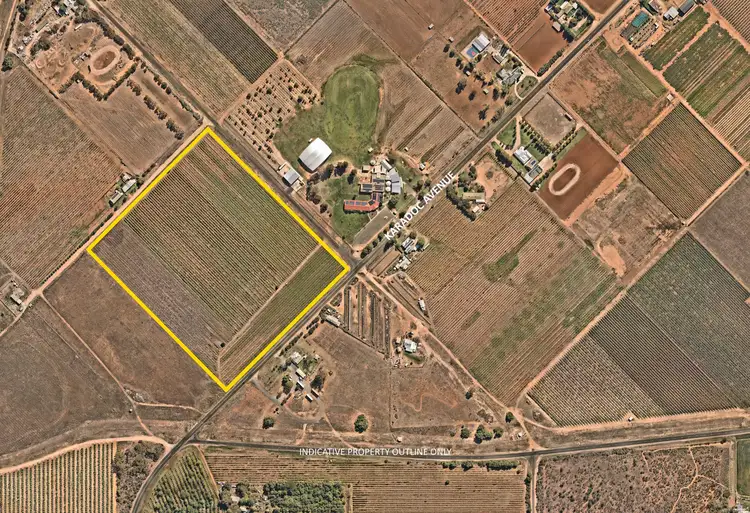 1324 Karadoc Avenue, Irymple VIC 3498