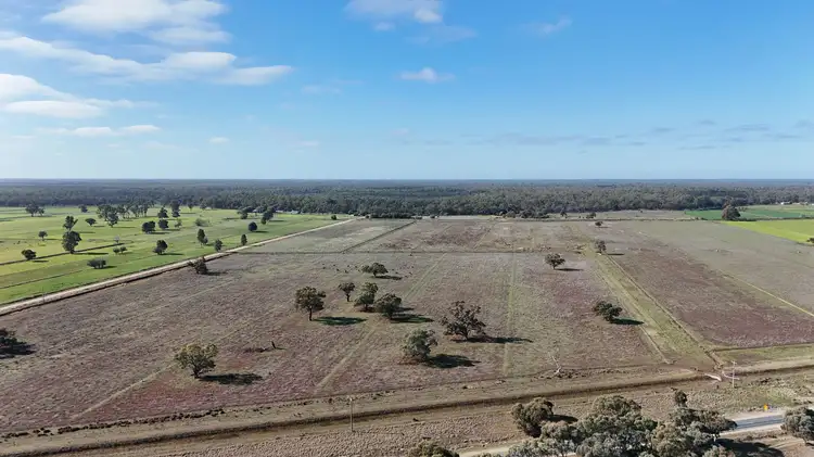 Second view of Homely rural property listing, 00 Corner Nelsons & Koondrook Road, Cohuna VIC 3568