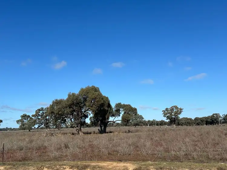 Third view of Homely rural property listing, 00 Corner Nelsons & Koondrook Road, Cohuna VIC 3568