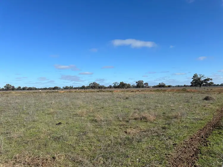 Fourth view of Homely rural property listing, 00 Corner Nelsons & Koondrook Road, Cohuna VIC 3568