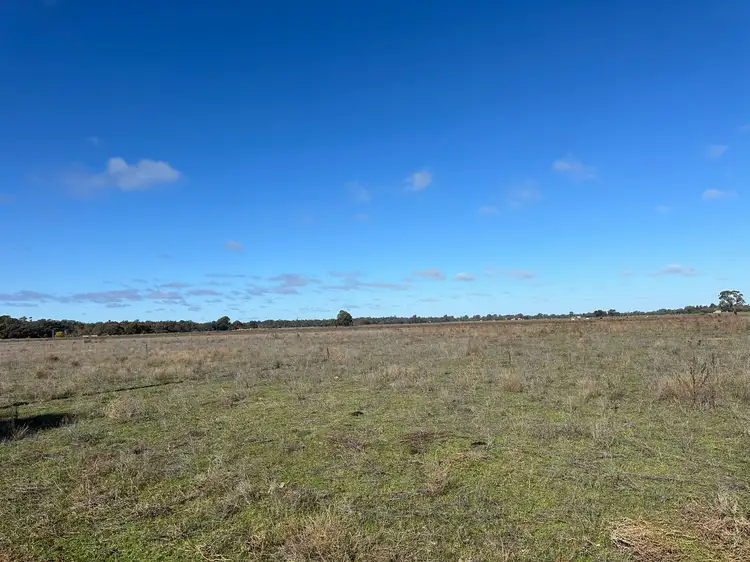 Fifth view of Homely rural property listing, 00 Corner Nelsons & Koondrook Road, Cohuna VIC 3568