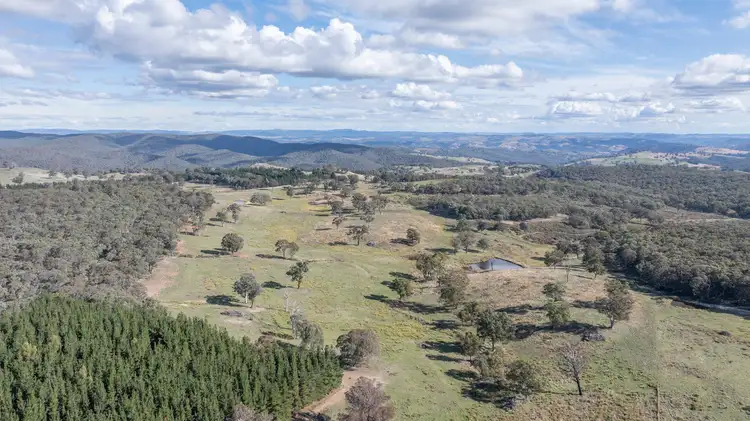 Second view of Homely rural property listing, 692 Bald Ridge Road, Bald Ridge NSW 2795