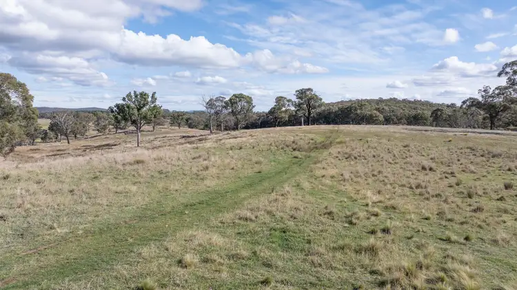 Third view of Homely rural property listing, 692 Bald Ridge Road, Bald Ridge NSW 2795